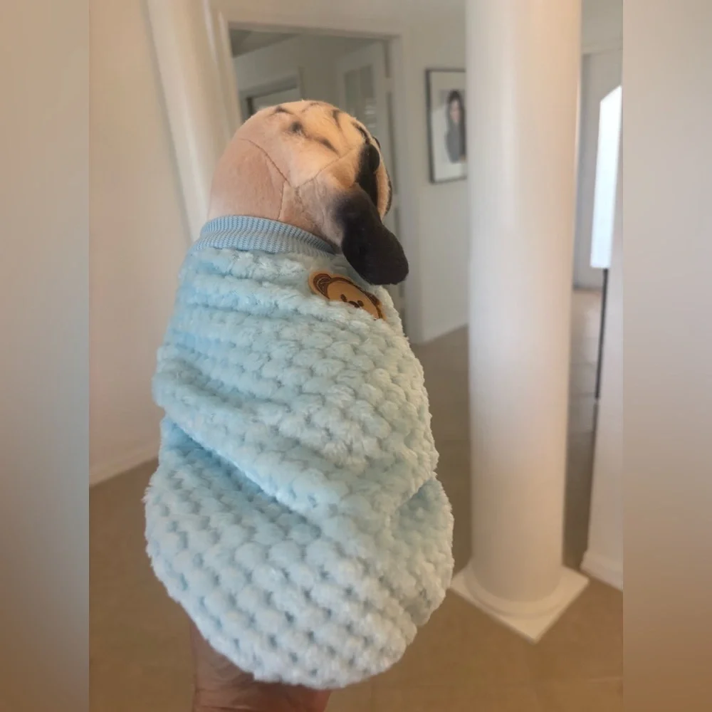 Blue Plush Dog Toy